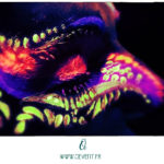 makeup fluo oevent 2