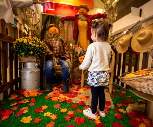 Décoration pour une gallerie commerciale dans les landes sur le thème d'Halloween
