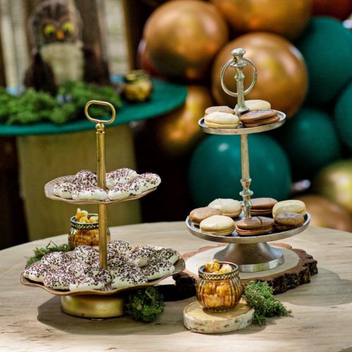 Décoration forêt pour l'anniversaire de Gaie